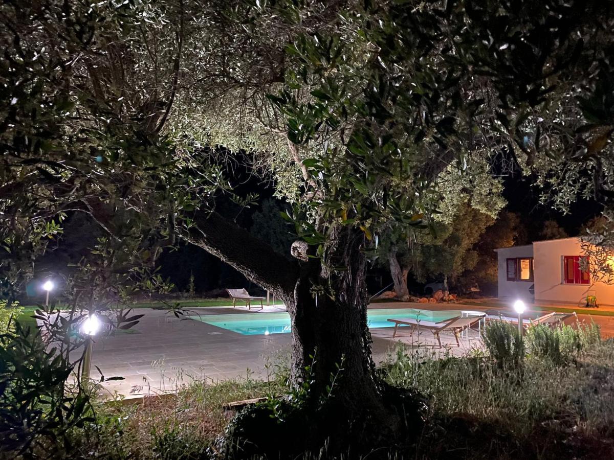 Le Radici Bed & Breakfast Monopoli Luaran gambar